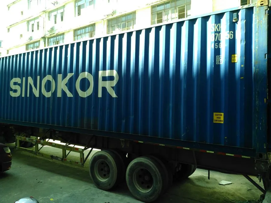 Frozen Agaricus Bisporus Champignon Mushroom Slice