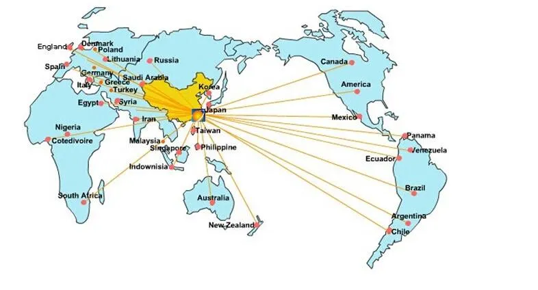 Frozen Agaricus Bisporus Champignon Mushroom Slice