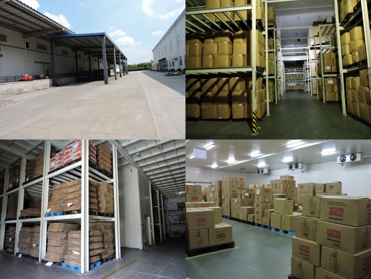 Frozen Agaricus Bisporus Champignon Mushroom Whole IQF