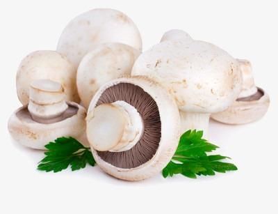 Frozen Agaricus Bisporus Champignon Mushroom Whole IQF