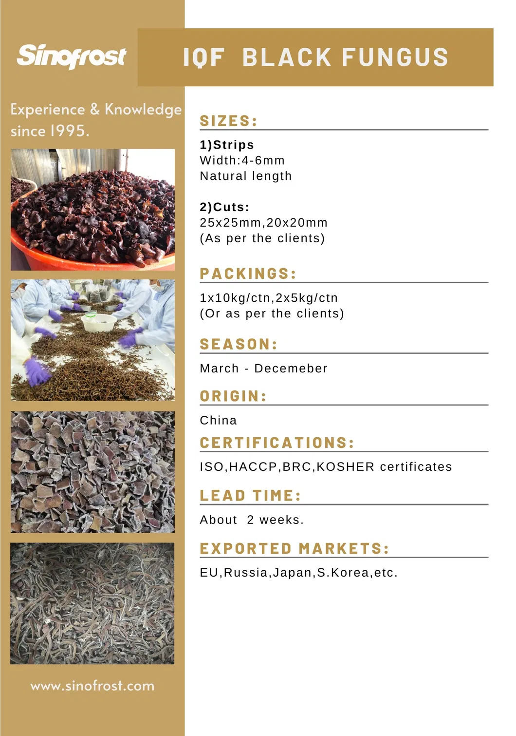 Frozen Boletus Edulis Cuts, IQF Wild Boletus Edulis Cubes, IQF Boletus Edulis Wholes, Frozen Boletus Edulis Wholes, Boletus Edulis Half Cuts, Wild Mushrooms