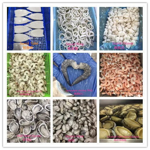 Frozen Cooked Abalone Meat