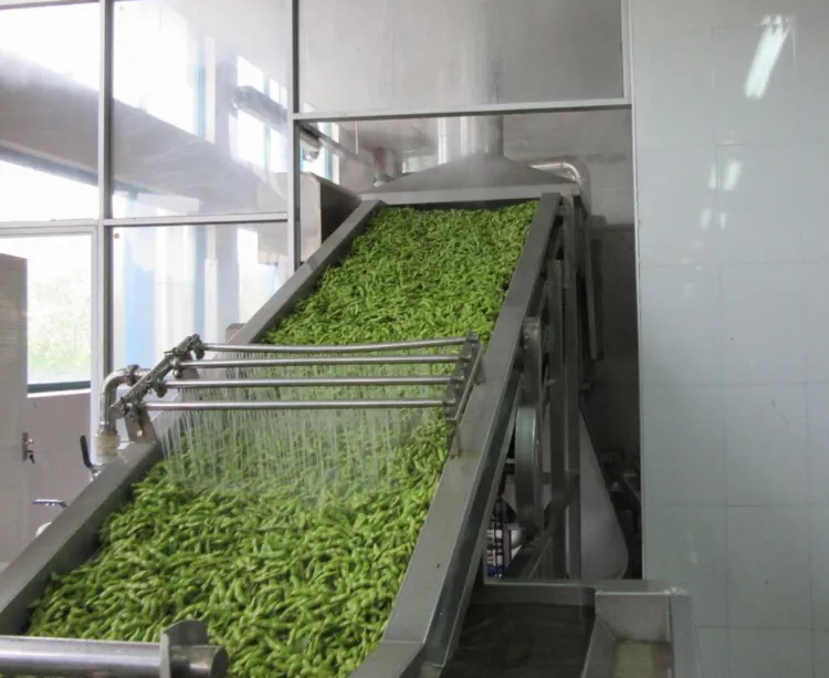 Frozen Edamame Soybeans in pod