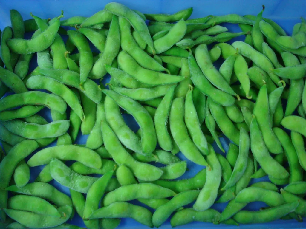 Frozen Edamame with Pod Wholesale High Quality