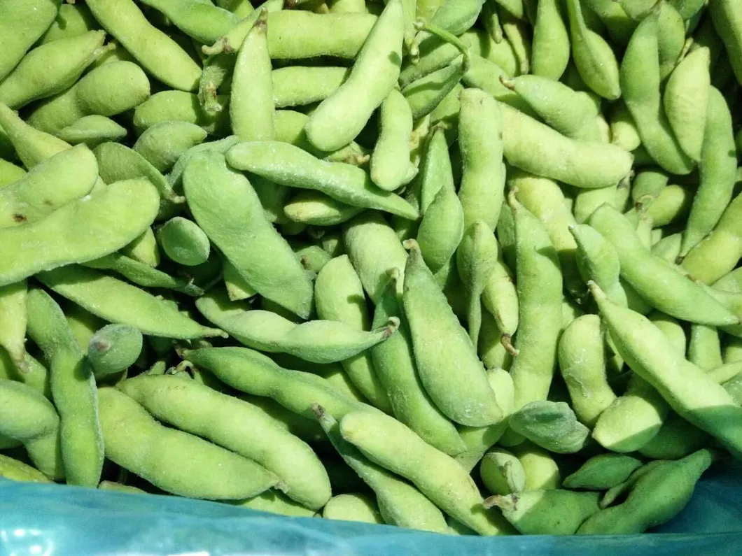 Frozen Edamame with Pod Wholesale High Quality