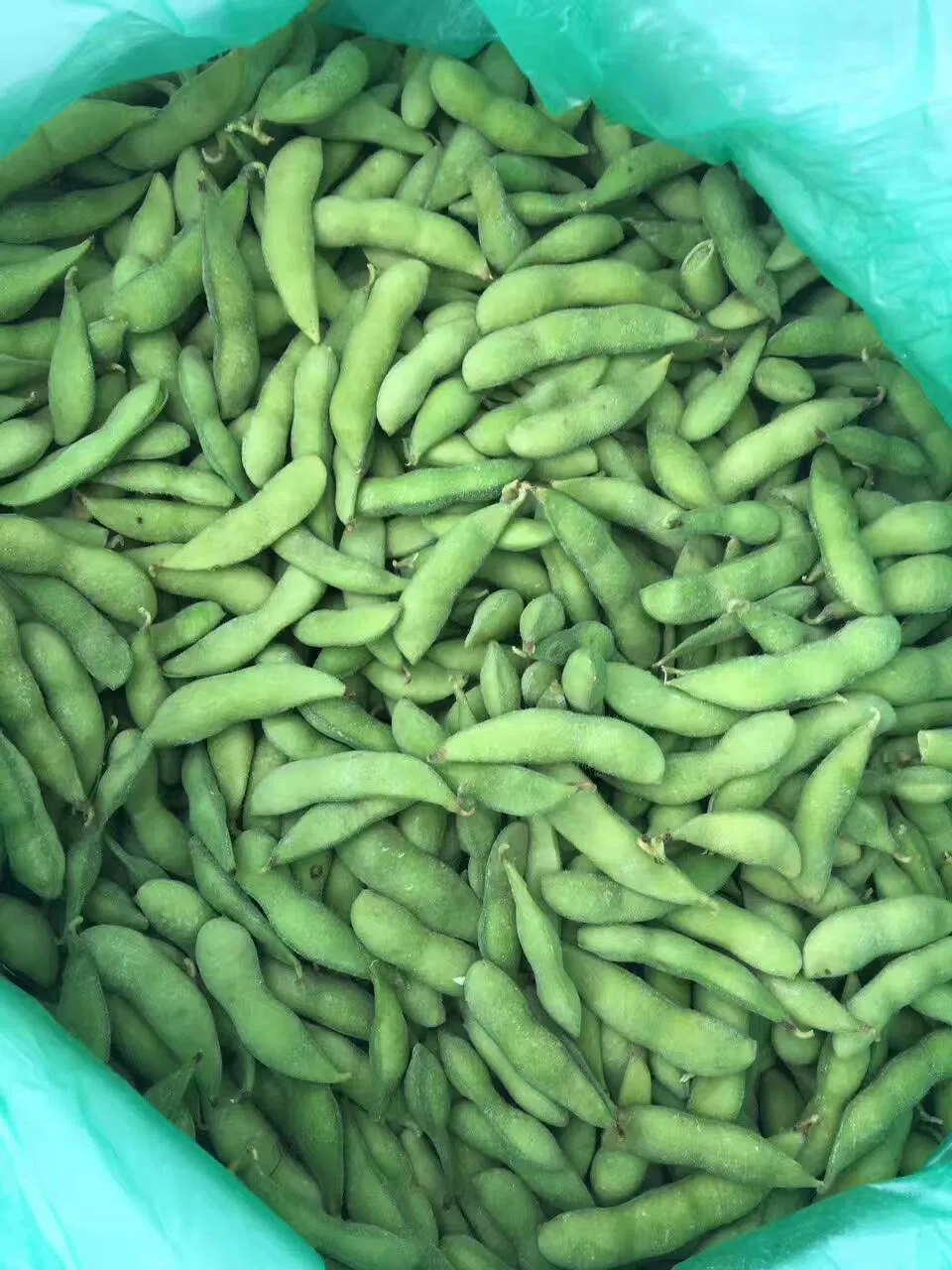 Frozen Edamame with Pod Wholesale High Quality
