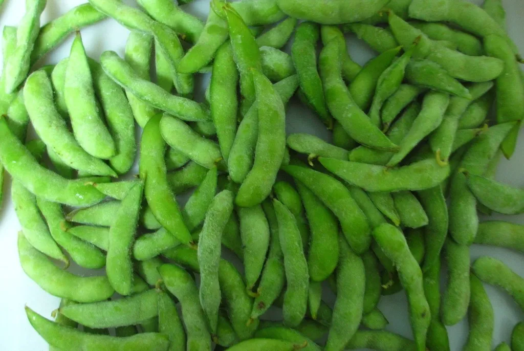 Frozen Edamame with Pod Wholesale High Quality