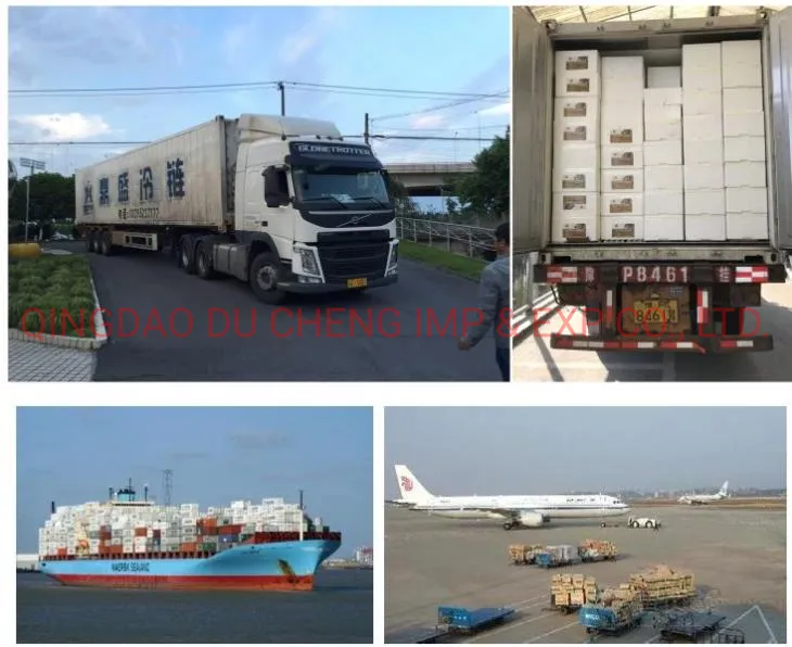 Frozen IQF Champignon Whole Best Price