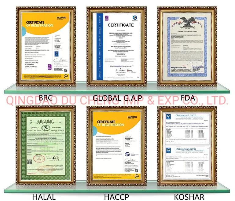 Frozen IQF Champignon Whole Best Price