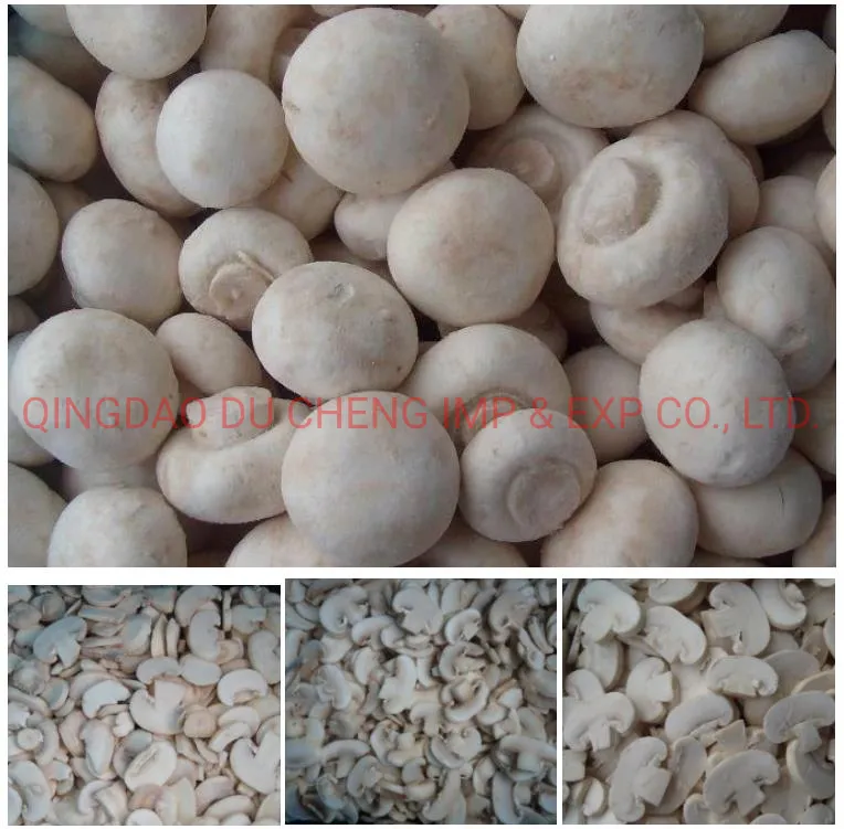 Frozen IQF Champignon Whole Best Price