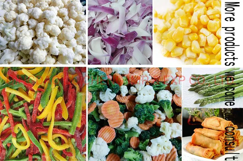 Frozen IQF Champignon Whole Best Price