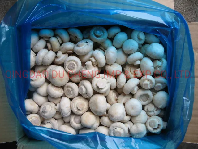 Frozen IQF Champignon Whole Best Price