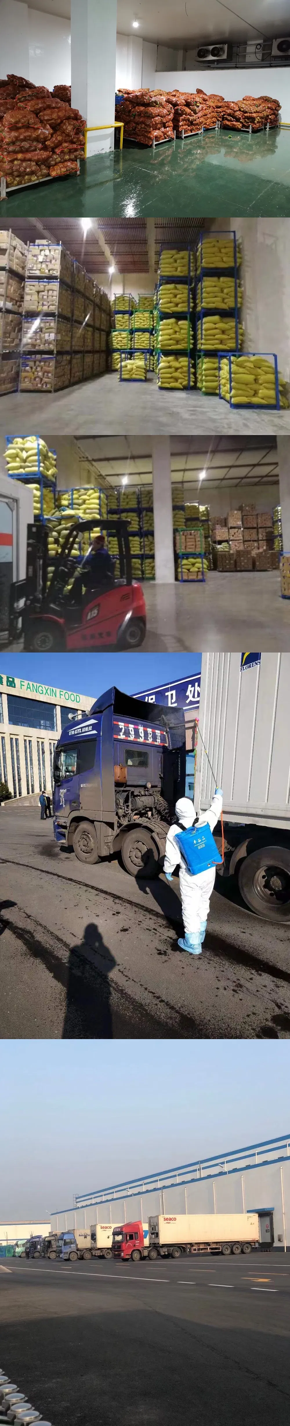 Frozen IQF Garlic Cloves From China Brc A Grade Factory