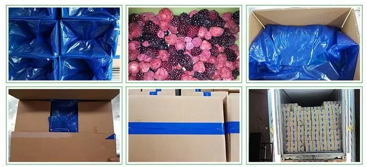 Frozen Mixed Fruit Berries Blended Raspberry Blackberry Blueberry Strawberry