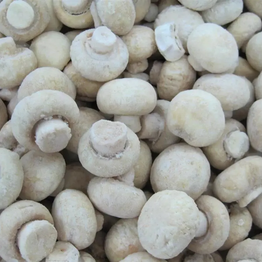 Frozen Mushroom Funghi Porcini Boletus Edulis