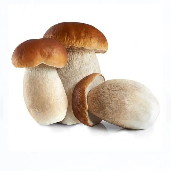 Frozen Mushroom Funghi Porcini Boletus Edulis