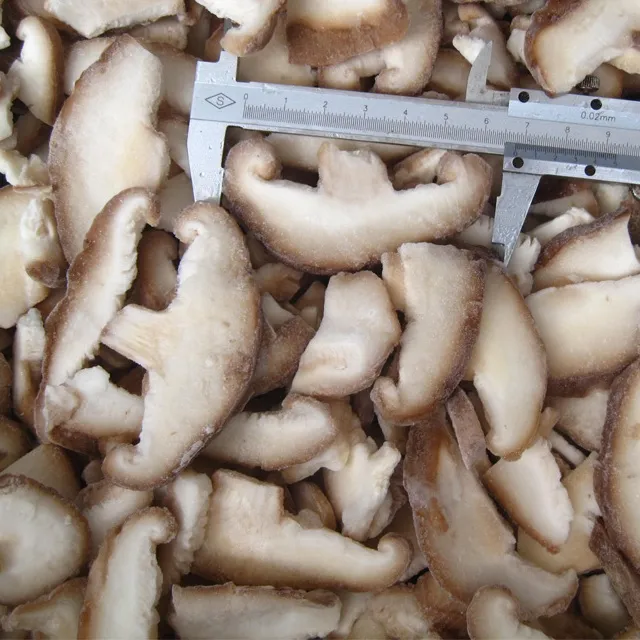Frozen Mushroom Funghi Porcini Boletus Edulis