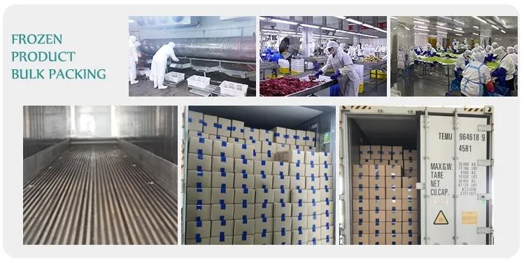 Frozen Pepper Frozen IQF Frozen Vegetables Cube Slice Dice Frozen Bell Green Pepper