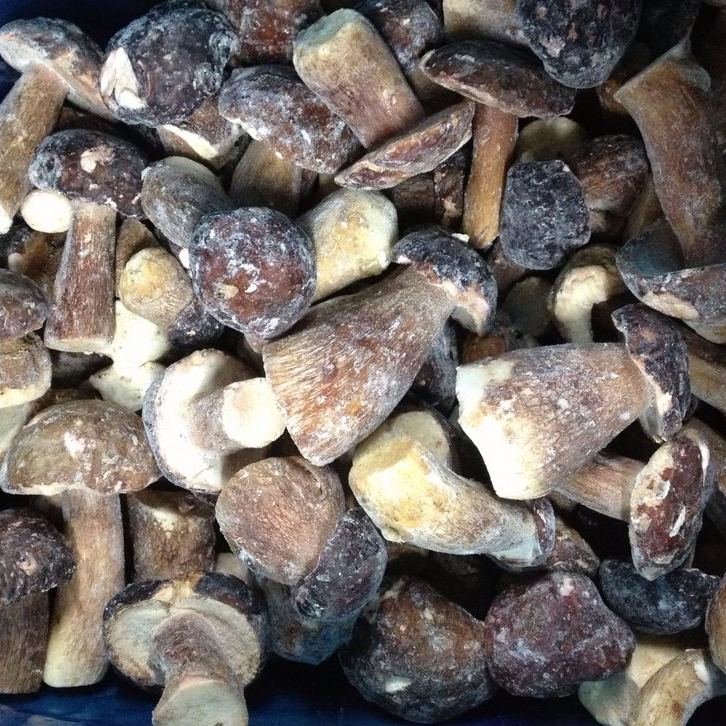 Frozen Porcini Mushroom Grade a Funghi Boletus Edulis