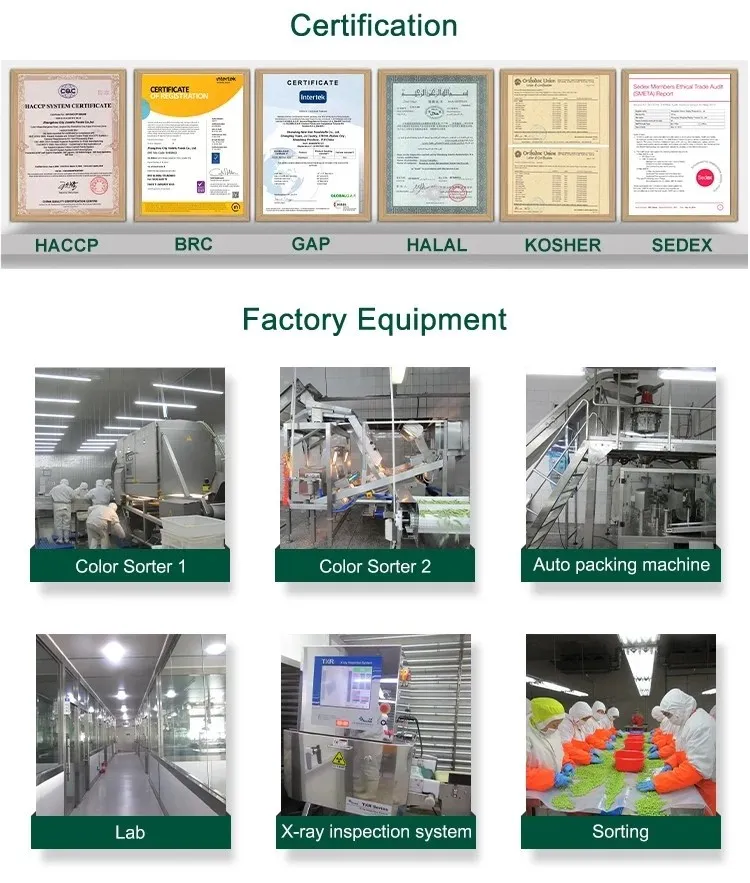 Frozen Sliced Champignon Mushroom Agaricus Bisporus