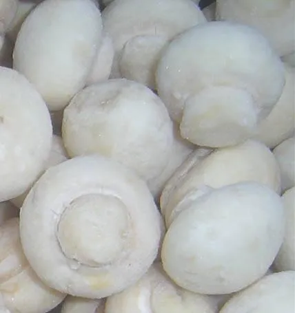 Frozen Sliced Champignon Mushroom Agaricus Bisporus