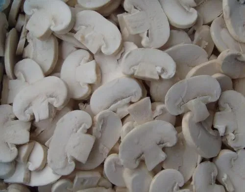 Frozen Sliced Champignon Mushroom Agaricus Bisporus