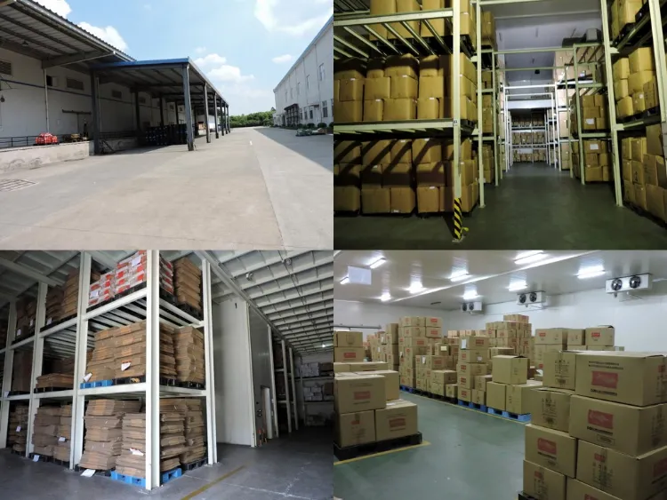 Frozen Sliced Champignon Mushroom Agaricus Bisporus