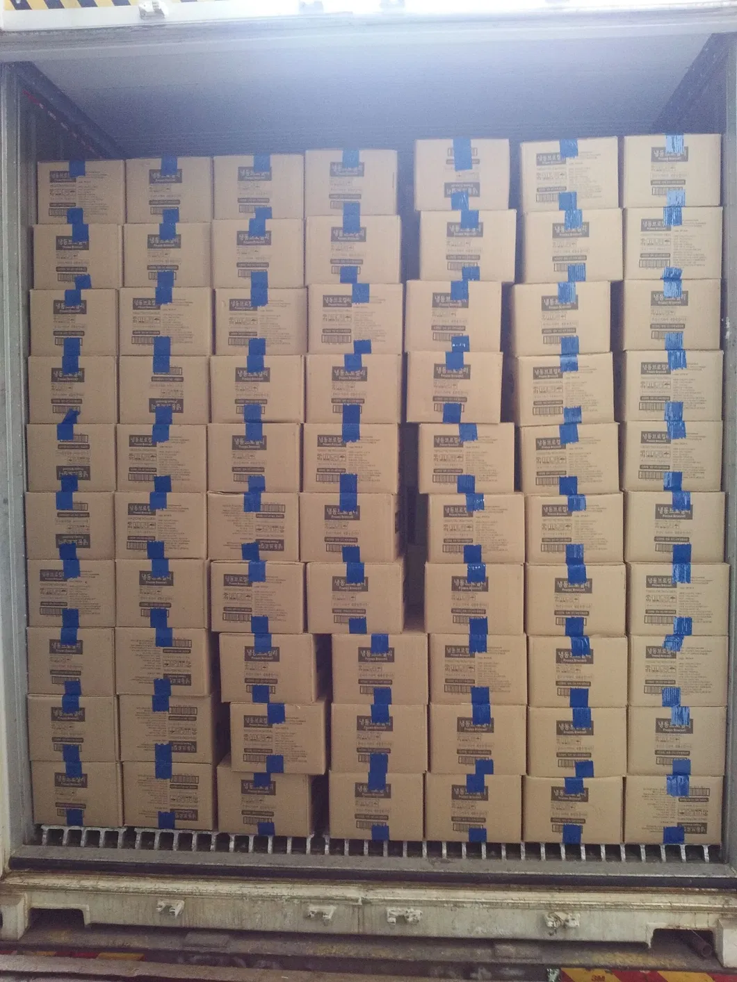 Frozen Sliced Champignon Mushroom Agaricus Bisporus