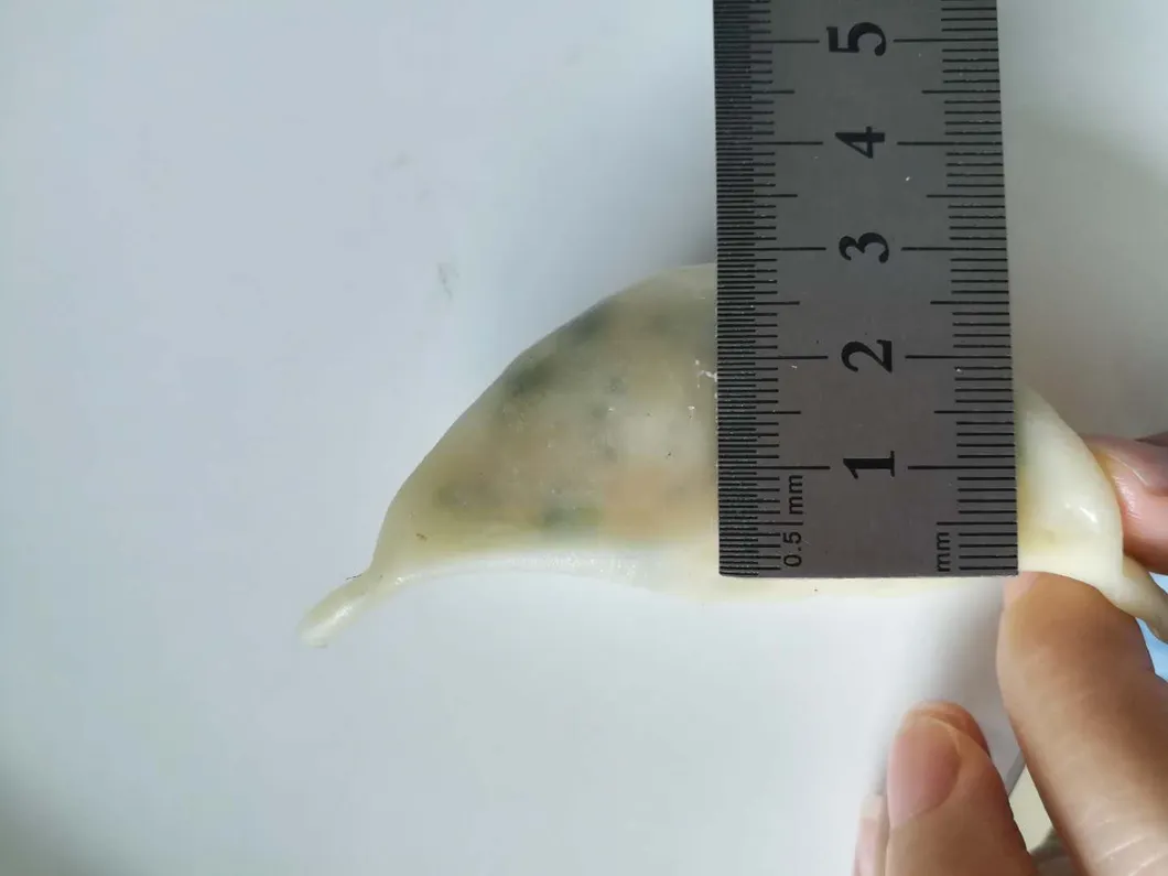 Frozen Steamed Prawn Dumpling Frozen Goya