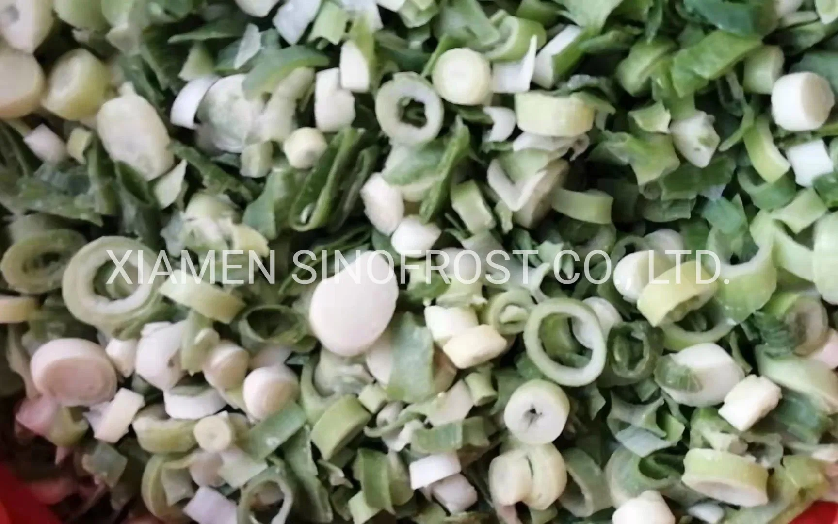 Frozen Welsh Onion Slices,Frozen Welsh Onion Dices,Frozen Welsh Onion Cuts,Frozen Sliced Welsh Onions,Frozen Diced Welsh Onions,Frozen Cut Welsh Onions,IQF Leek