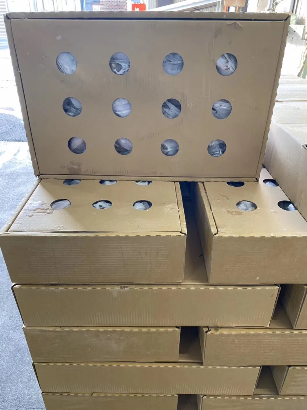 Frozen White Dotted Gizzard Whole Shad Fish