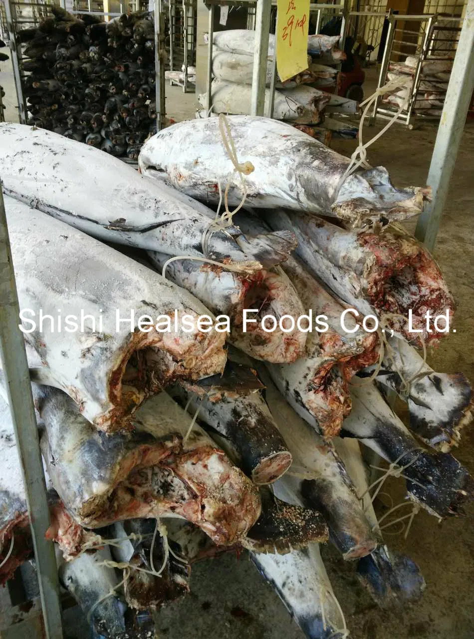 Good Quality Frozen Marlin Fish