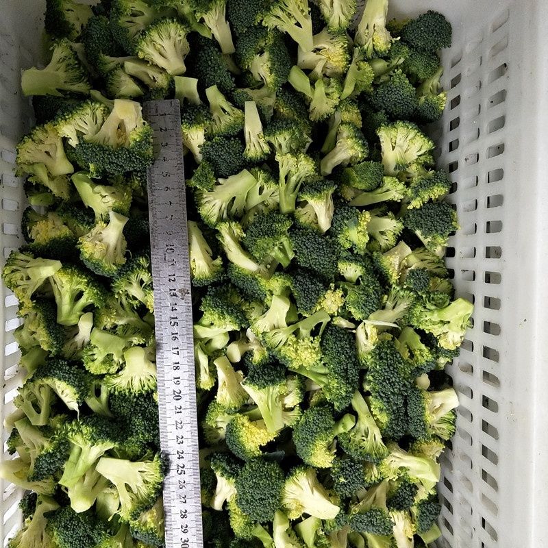 Grade a Export Wholesale High Quality Organic IQF Frozen Fresh Broccoli Kosher