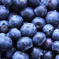 Grade B Fruit Blueberry