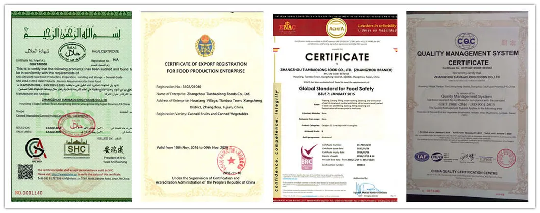 Health Food 184G Canned Mushroom Sliced