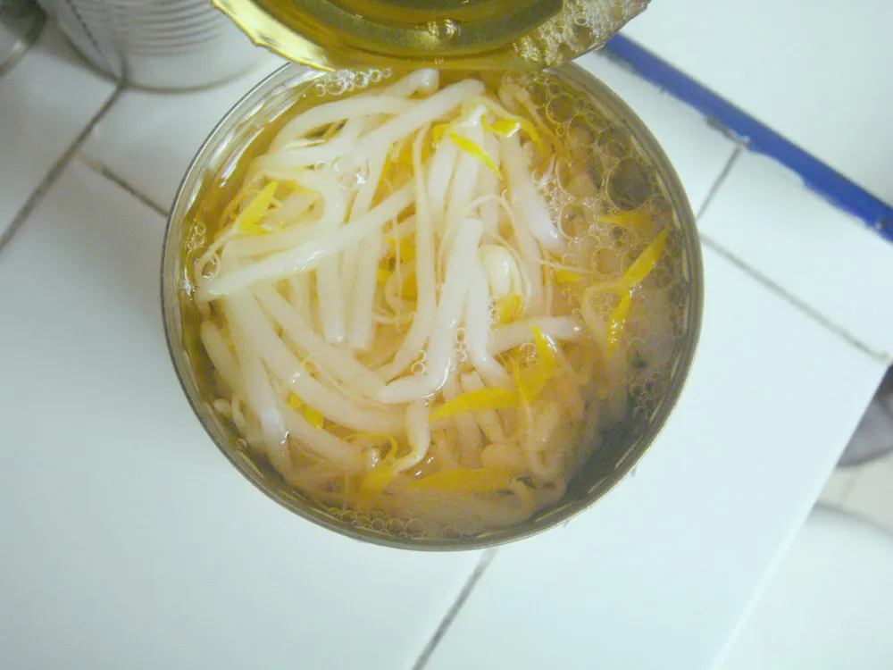 Health Food Canned Bean Sprouts in Tin Packing