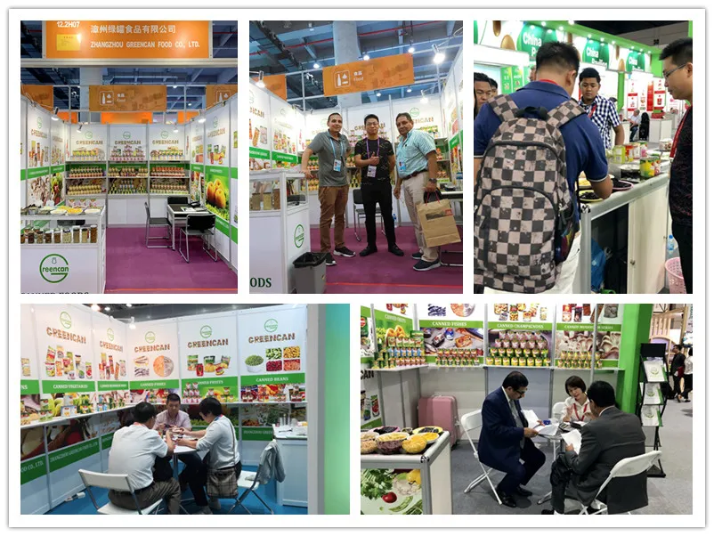 Health Food Canned Bean Sprouts in Tin Packing