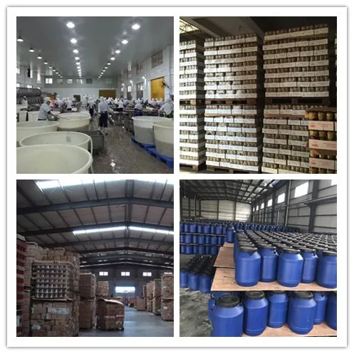 Healthy and Convenient Condiment for Retail/Restaurant/Supermarkets with Factory Price