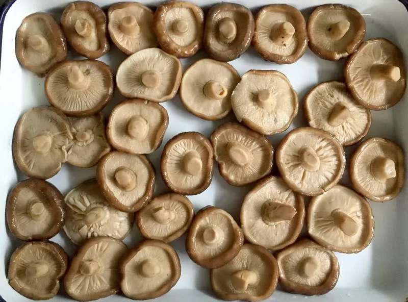 Healthy Food Canned Shiitake Mushroom Strip
