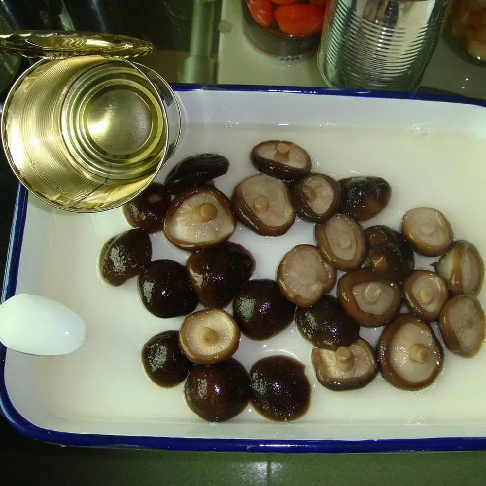 Healthy Food Canned Shiitake Mushroom Strip