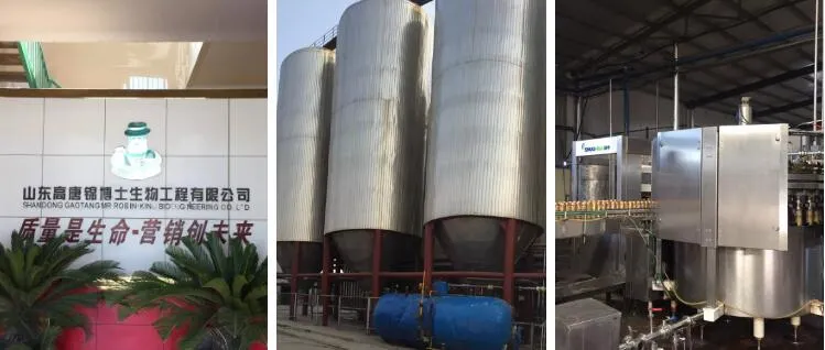 High - Degree Bier OEM Wheat Beer on Sale