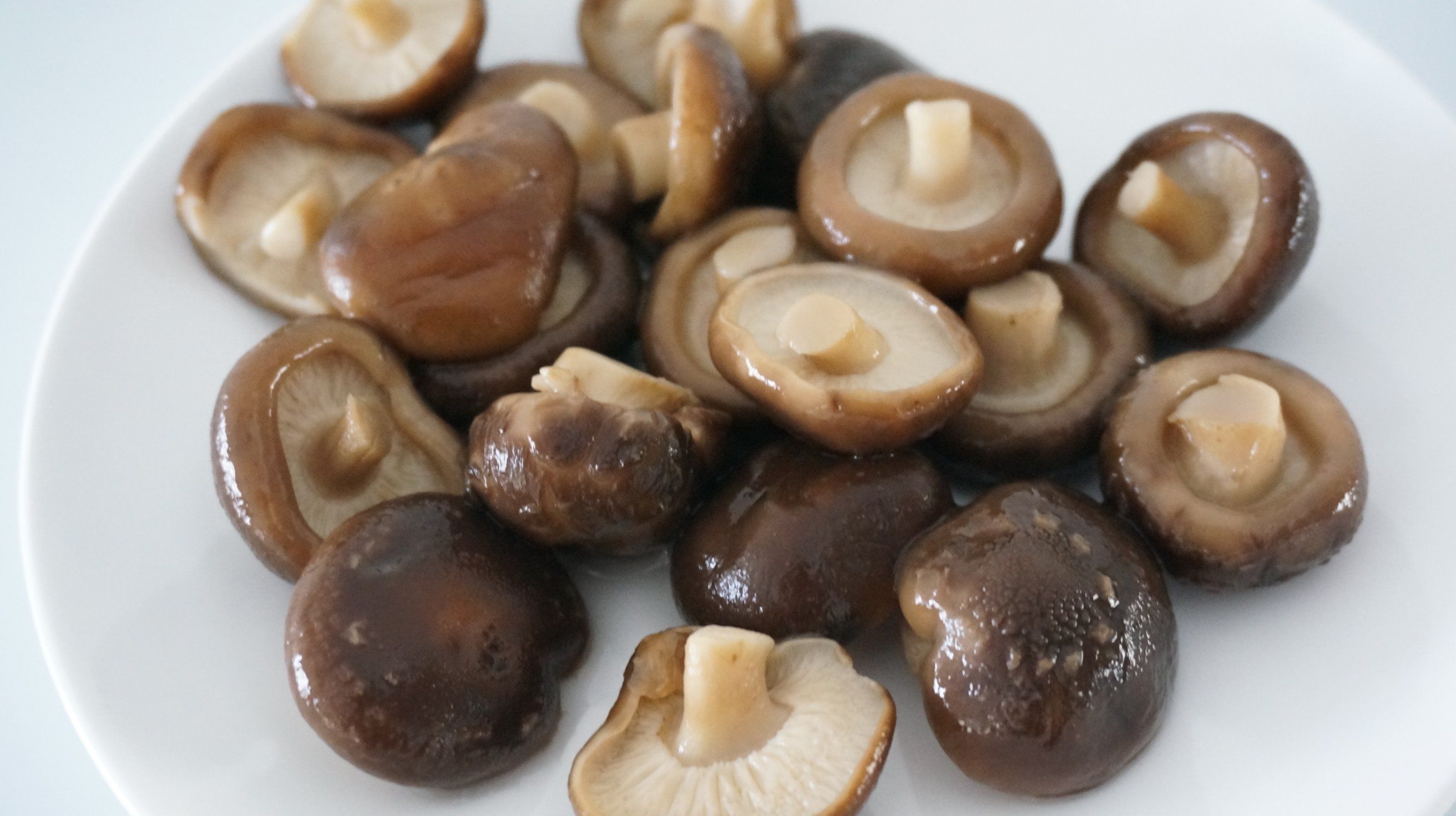 High Quality Canned Shiitake Mushroom Organic Natural Material Hot Sale