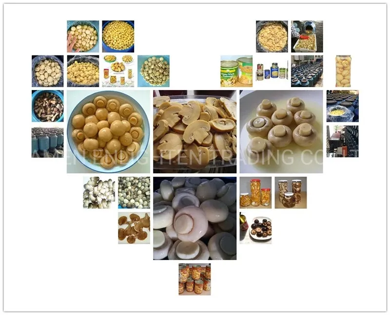 High Quality Canned Shiitake Mushroom Organic Natural Material Hot Sale