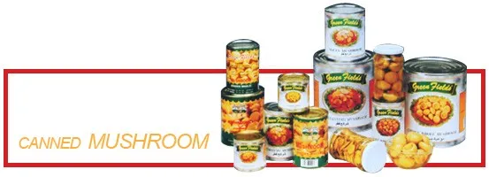 High Quality Canned Shiitake Mushroom Organic Natural Material Hot Sale