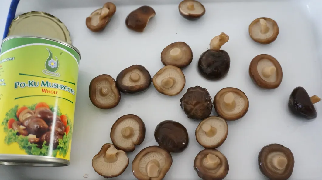 High Quality Canned Shiitake Mushroom Organic Natural Material Hot Sale