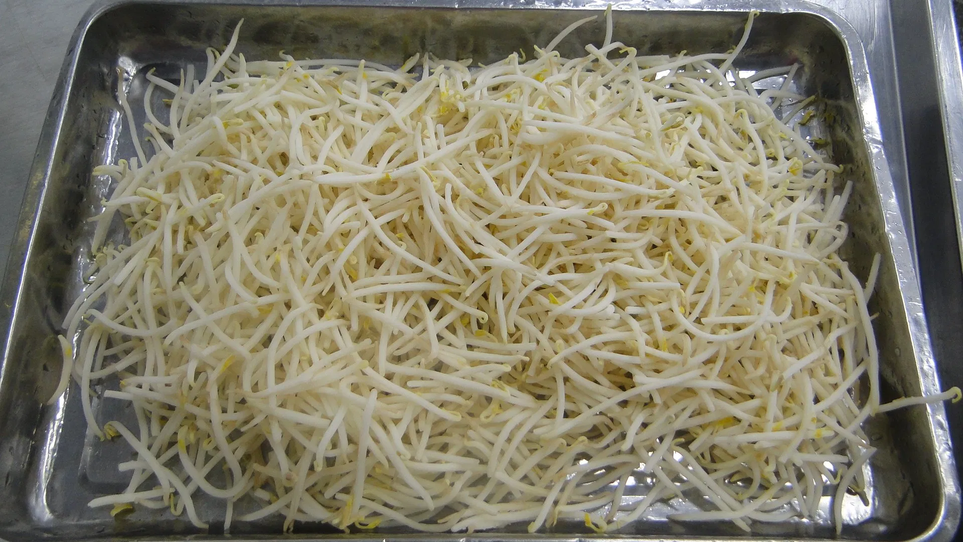 High Quality Factory Price IQF Vegetable Fresh Green Bean Sprout Frozen Mung Beans Sprouts
