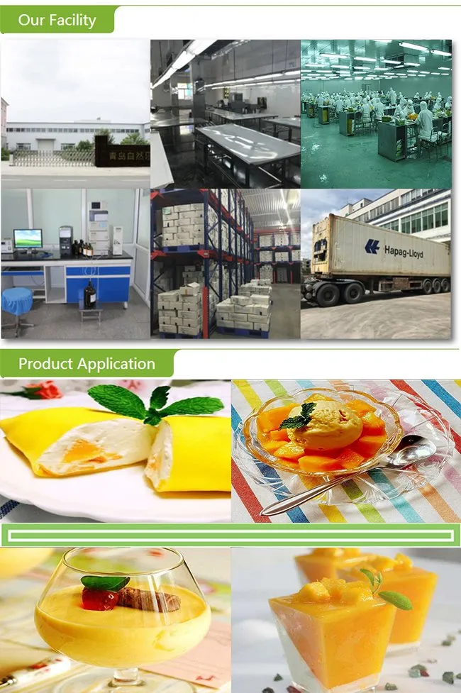 High Quality Fresh Whole Mango with Good Price