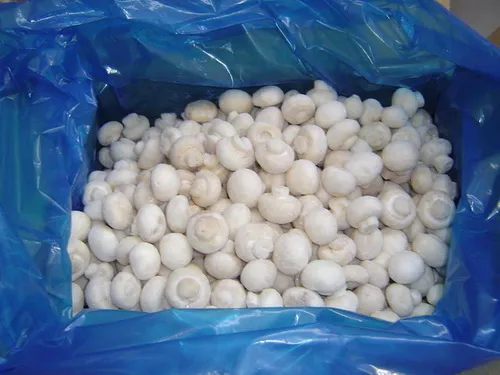 High Quality Frozen Agaricus Bisporus and Frozen Vegetable