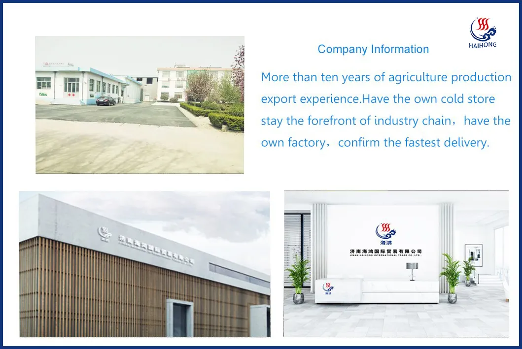 High Quality Frozen Peeled French Fries, Organically Produced in China