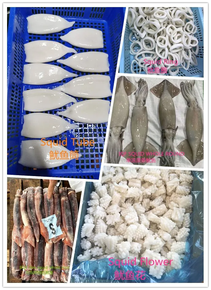 High Quality Squid Tube U3, U5, U8, U10 Todarodes Pacificus Illex Argentina Giant Squid